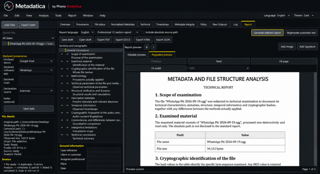 Real Metadatica FULL Report workspace in Dark theme with professional technical report preview.